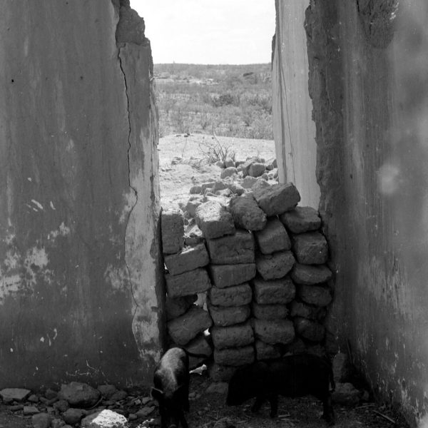 Canudos © Bettina Lenci