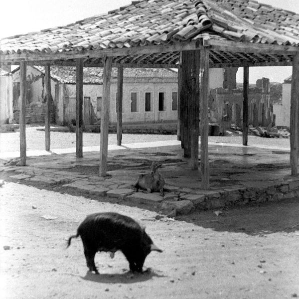 Canudos © Bettina Lenci