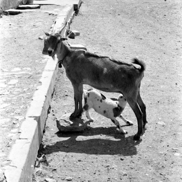 Canudos © Bettina Lenci