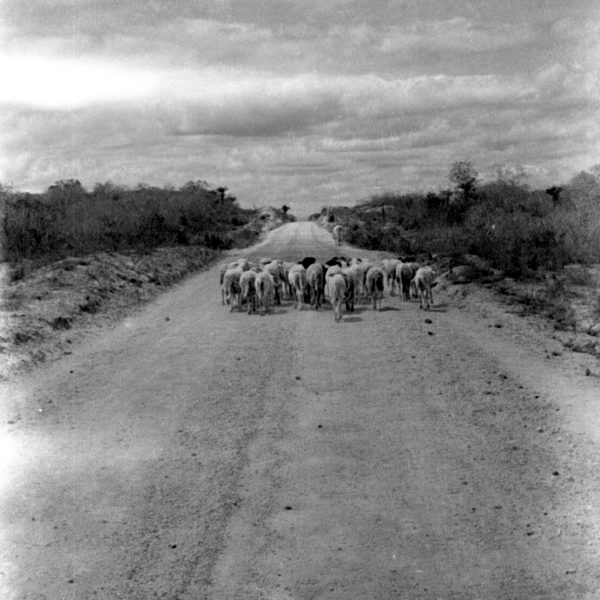 Canudos © Bettina Lenci
