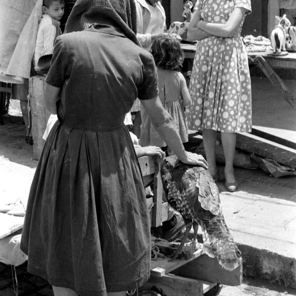 Caruaru © Bettina Lenci