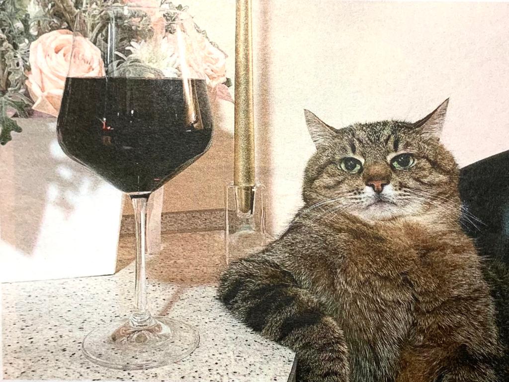 O Gato e o Copo de Vinho